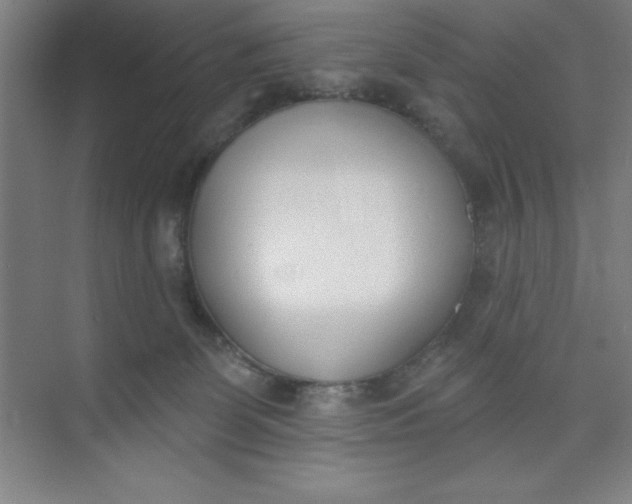 X0000073970131200609051855