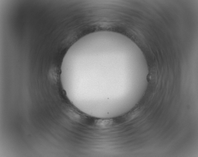 X0000073970135200609051855