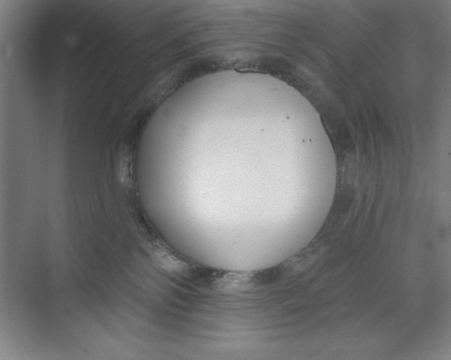 X0000073970138200609051855