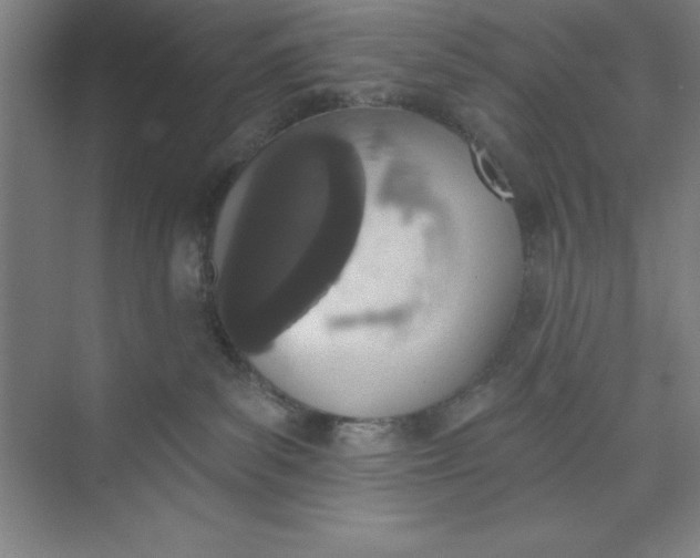 X0000073970139200609051855