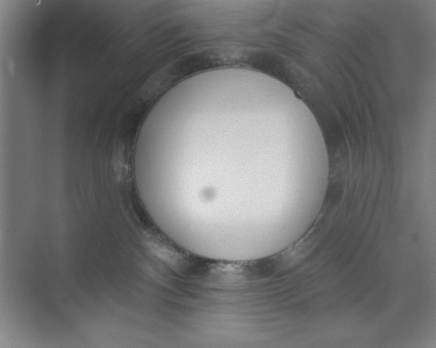 X0000073970140200609051855