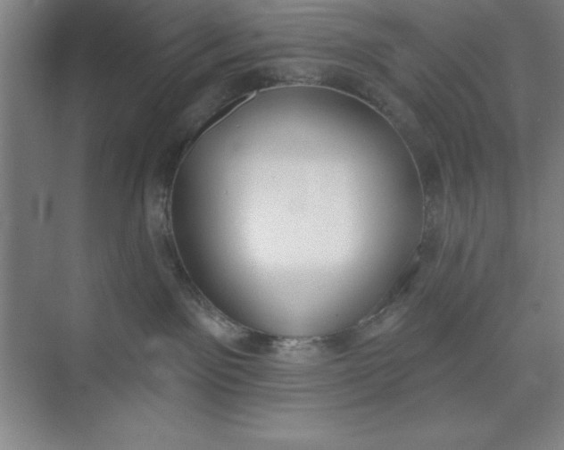 X0000073970141200609051855