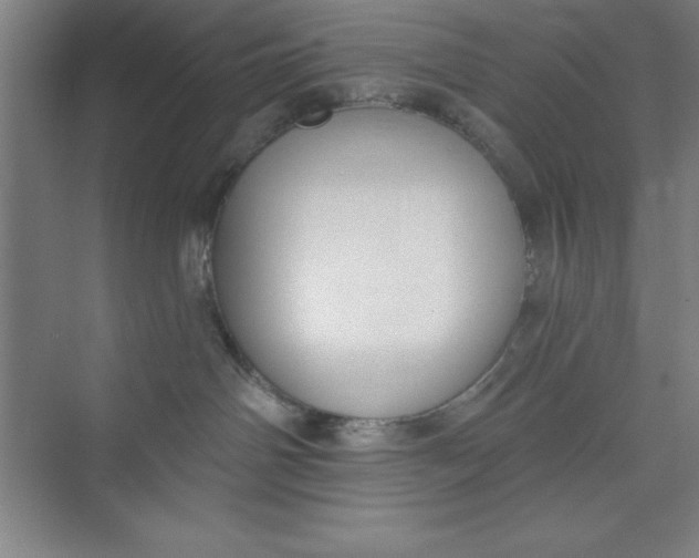 X0000073970142200609051855