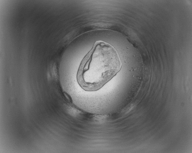 X0000073970143200609051855