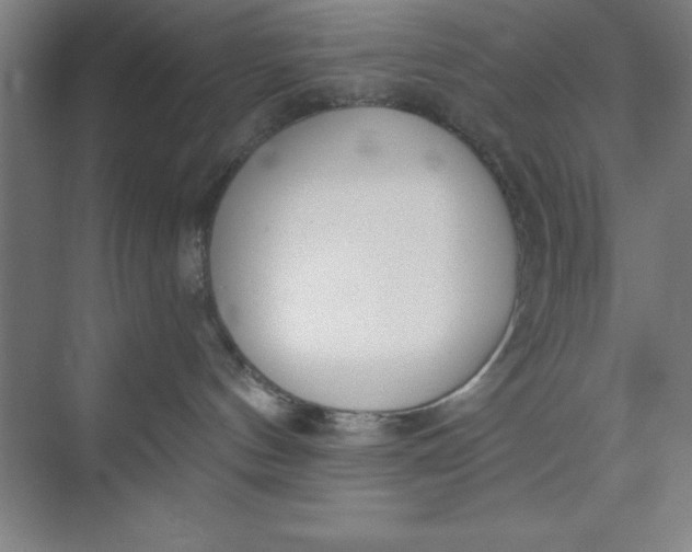 X0000073970144200609051855