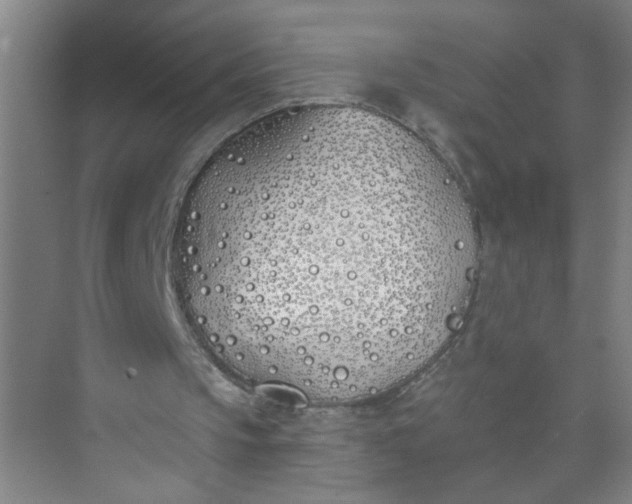 X0000073970145200609051854