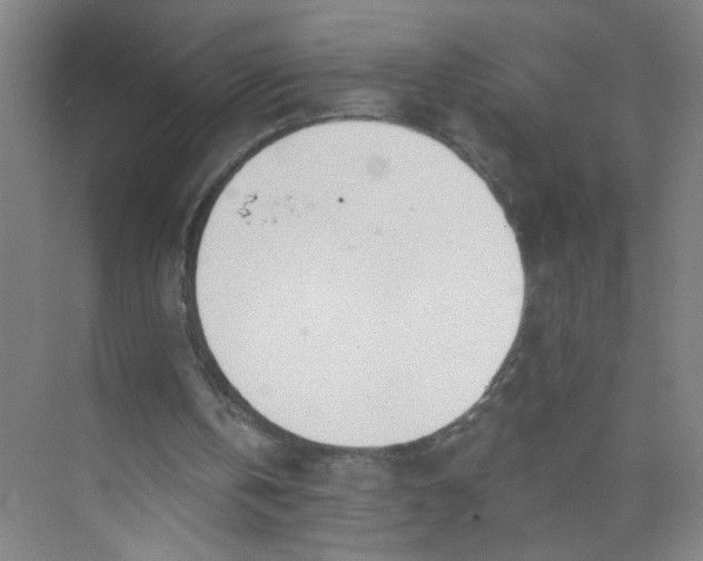 X0000073970146200609051854