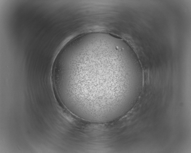 X0000073970147200609051854