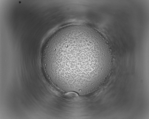 X0000073970149200609051854