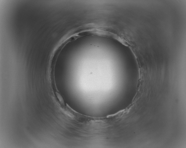 X0000073970150200609051854