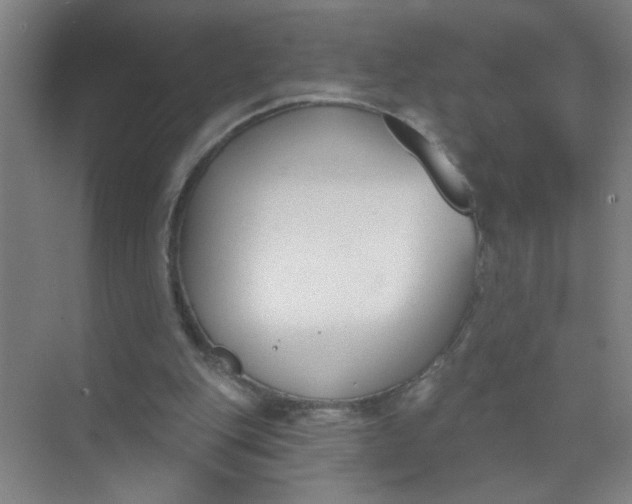 X0000073970151200609051854