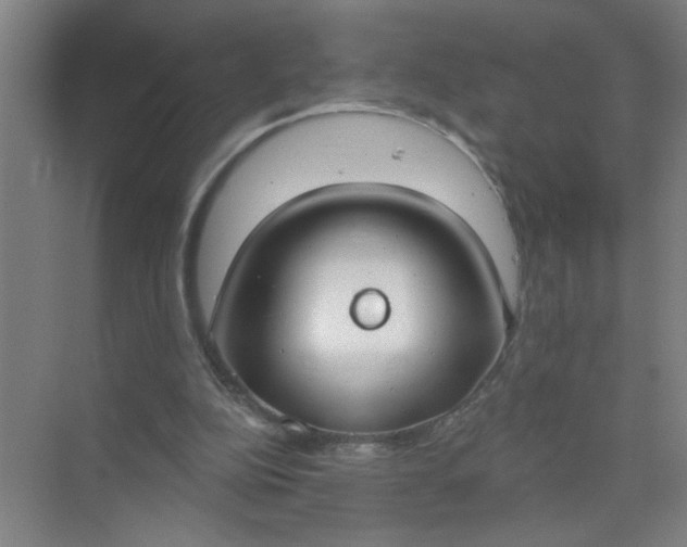 X0000073970152200609051854