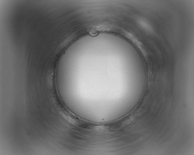 X0000073970153200609051854