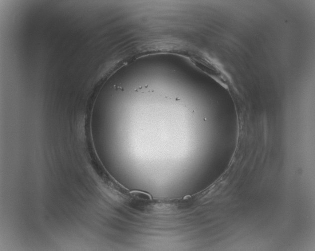 X0000073970154200609051854