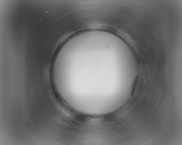 X0000073970155200609051854