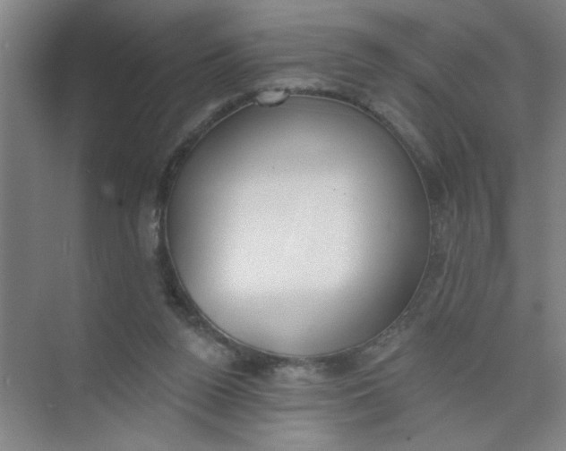 X0000073970160200609051854