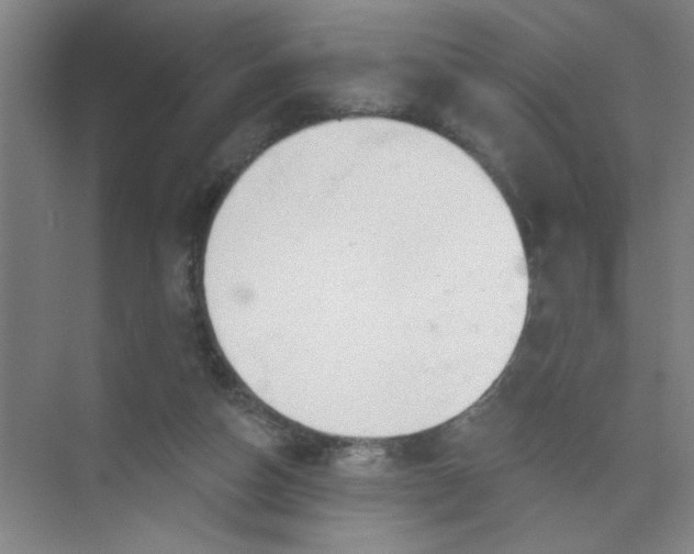 X0000073970162200609051854