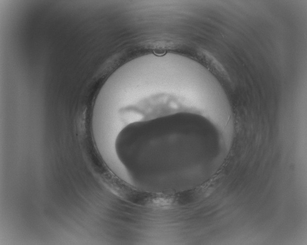 X0000073970163200609051854