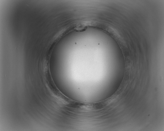 X0000073970164200609051854