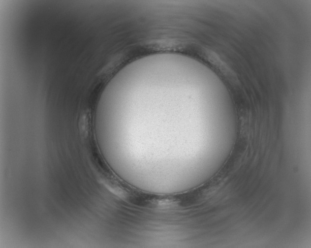 X0000073970165200609051854