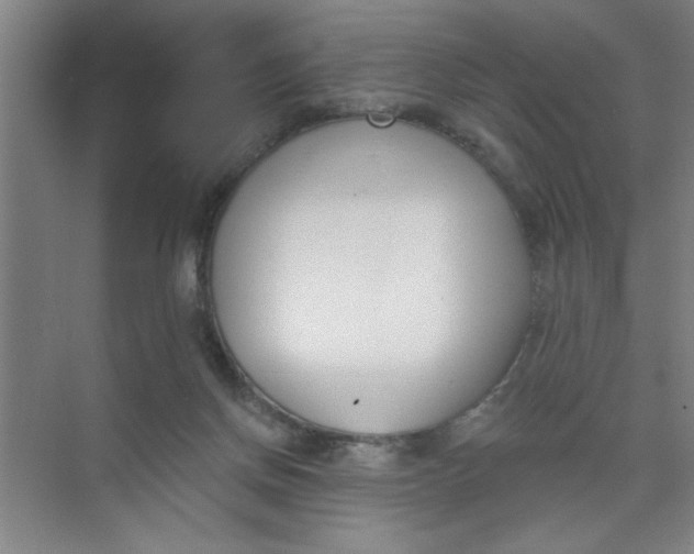 X0000073970166200609051854