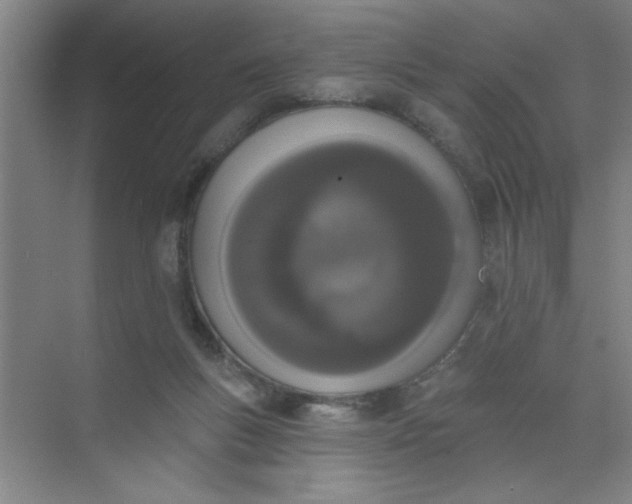 X0000073970167200609051854