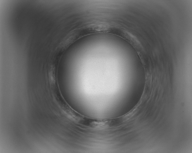 X0000073970170200609051854