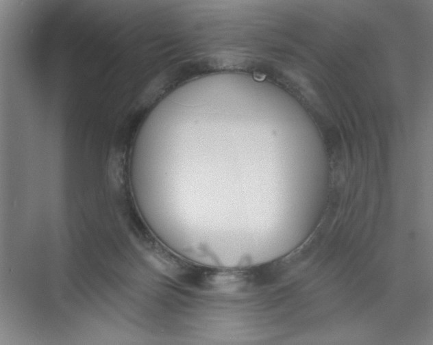 X0000073970171200609051854