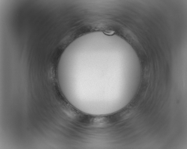 X0000073970173200609051854