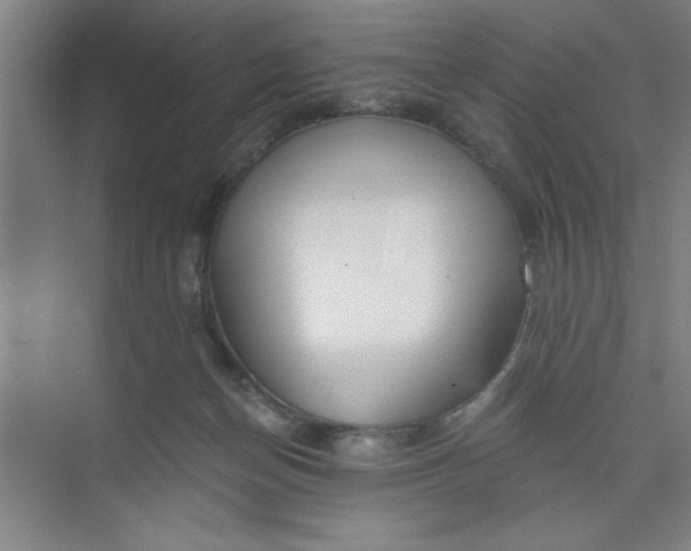 X0000073970174200609051854