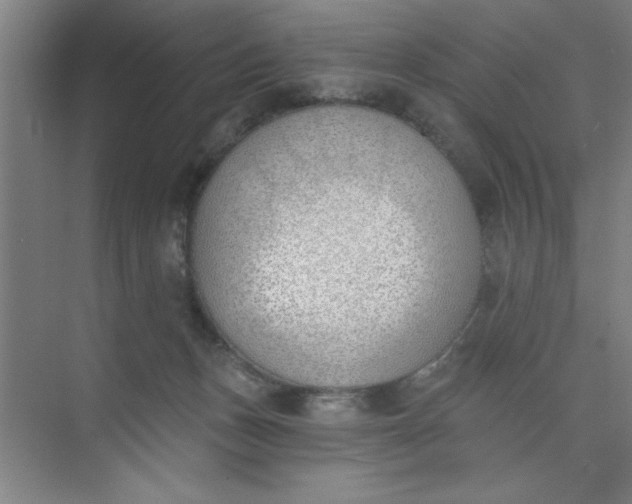 X0000073970175200609051854