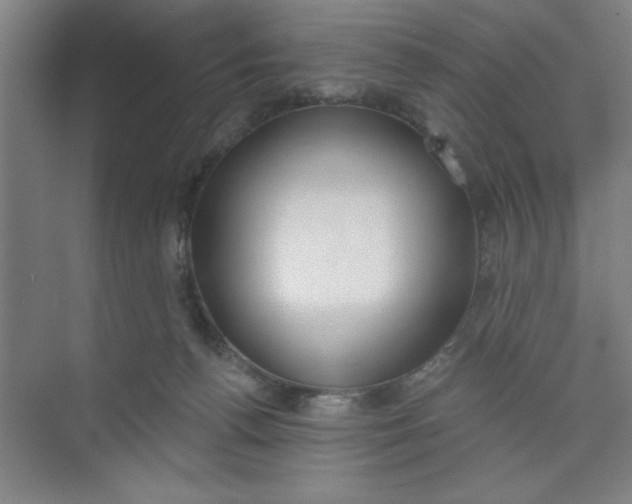 X0000073970176200609051854