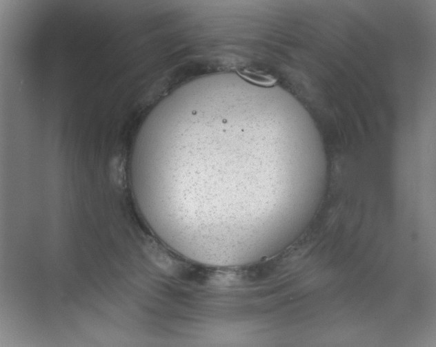 X0000073970177200609051854