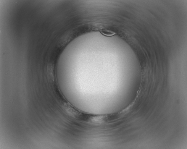 X0000073970178200609051854