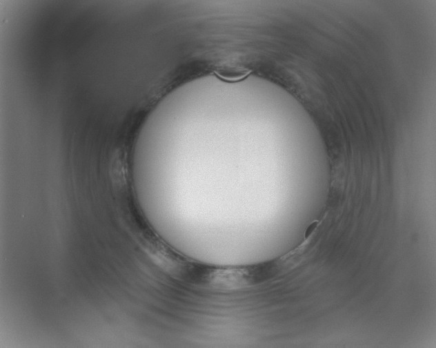 X0000073970179200609051854