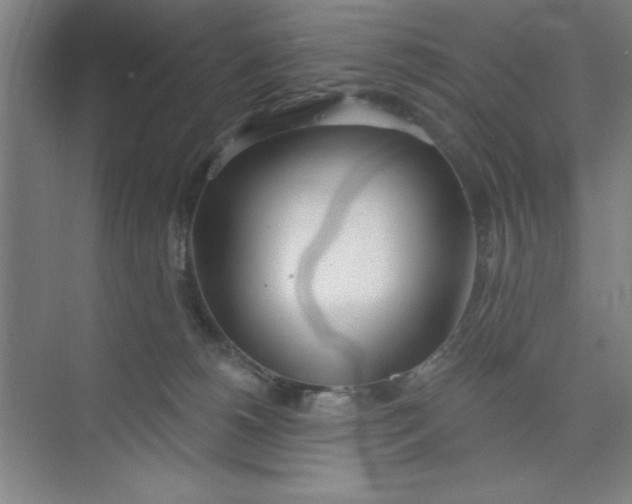 X0000073970180200609051854