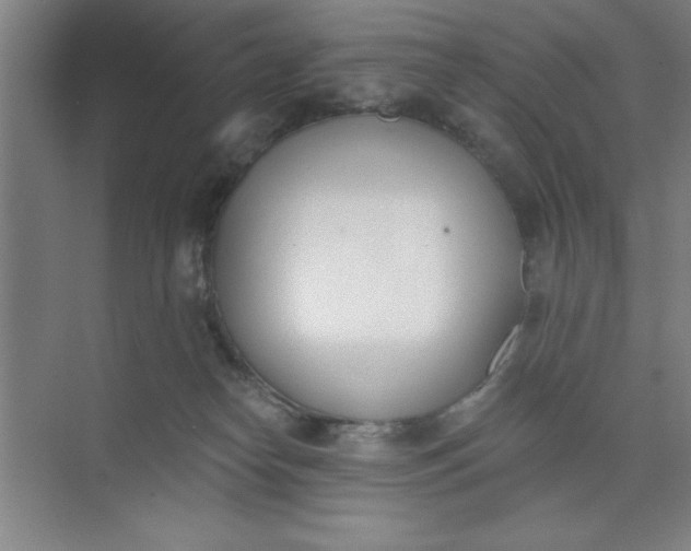 X0000073970182200609051854