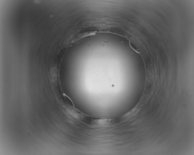 X0000073970184200609051855