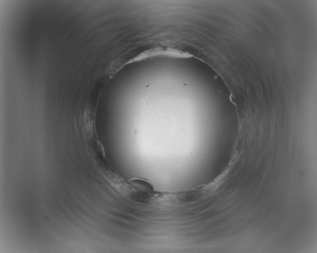 X0000073970186200609051855