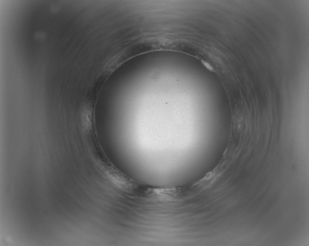 X0000073970188200609051855