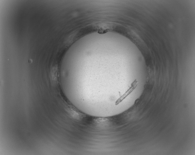 X0000073970189200609051855