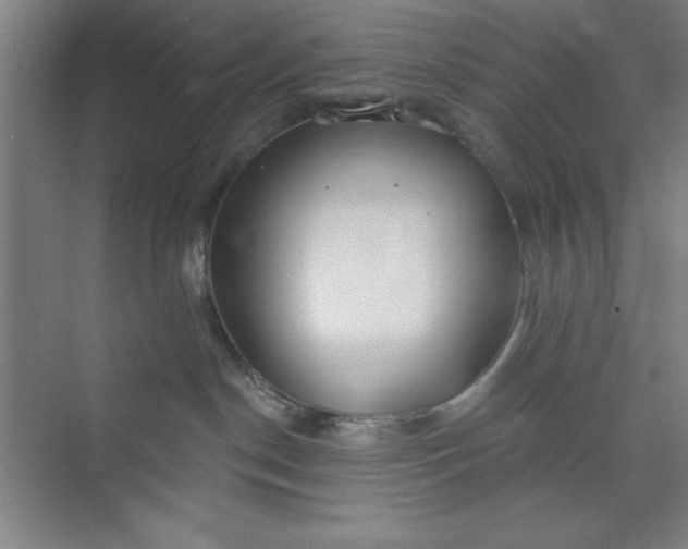 X0000073970190200609051855