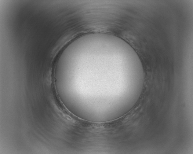 X0000073970194200609051854