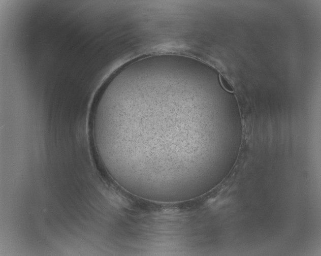 X0000073970196200609051854