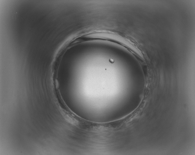 X0000073970197200609051854