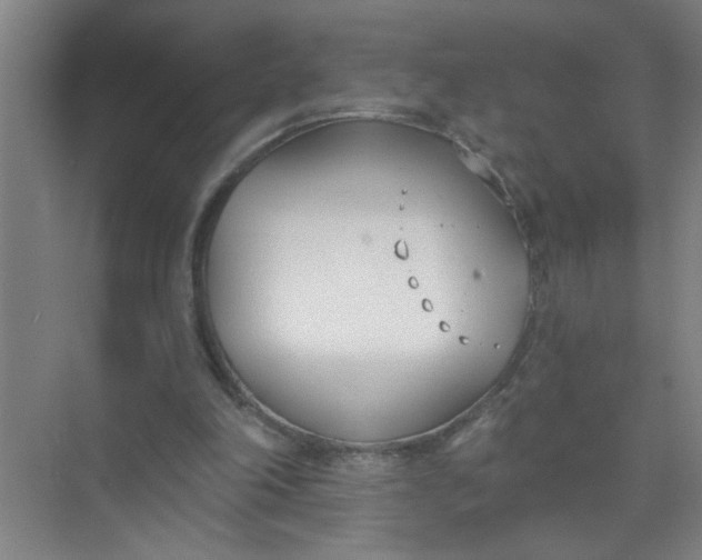 X0000073970198200609051854