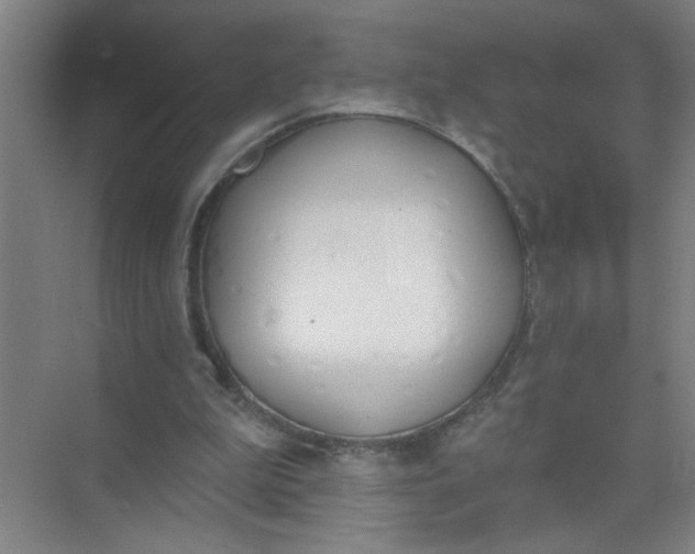 X0000073970199200609051854