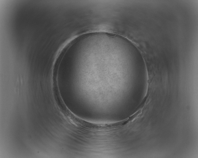 X0000073970200200609051854