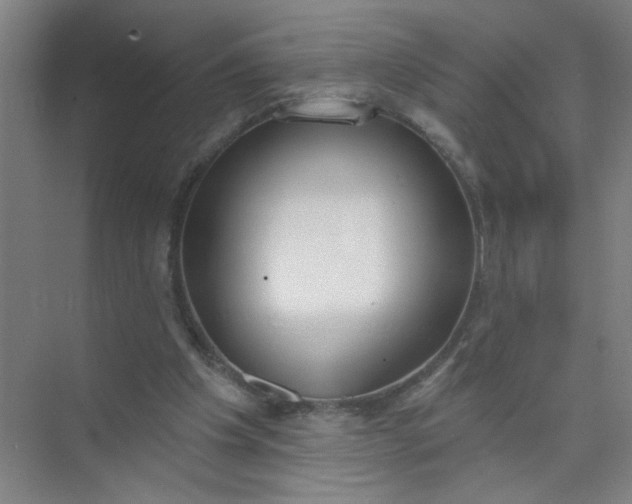 X0000073970201200609051854