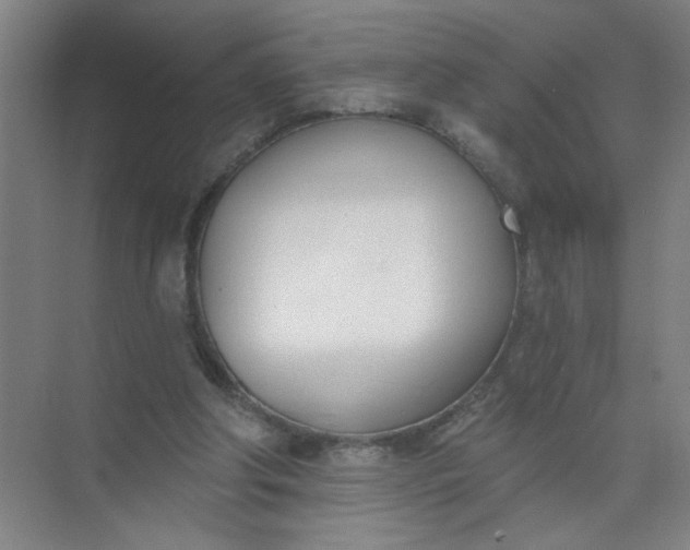 X0000073970202200609051854